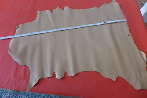 Mittelgroße lederhäute in - 2,